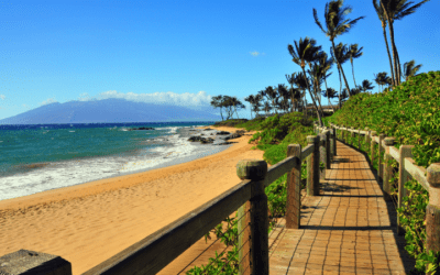 Tips and Tricks to Enjoy Our Maui Beaches to the Fullest