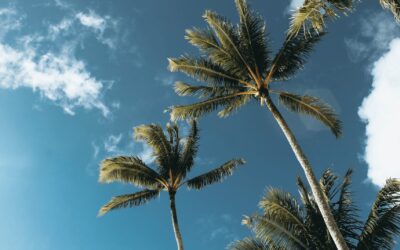 What is a Hawaii Long-Term Rental & Is it a Good Investment for You?