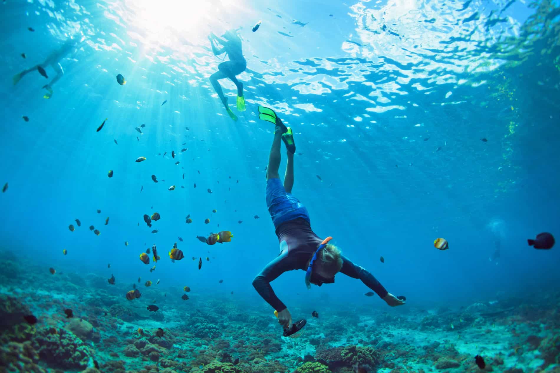 Big Island Snorkeling Tips: Things You Need to Know in Your Adventure