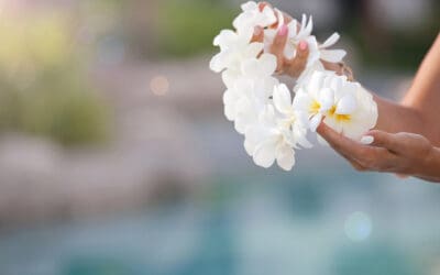Upcoming Events on the Big Island of Hawaii