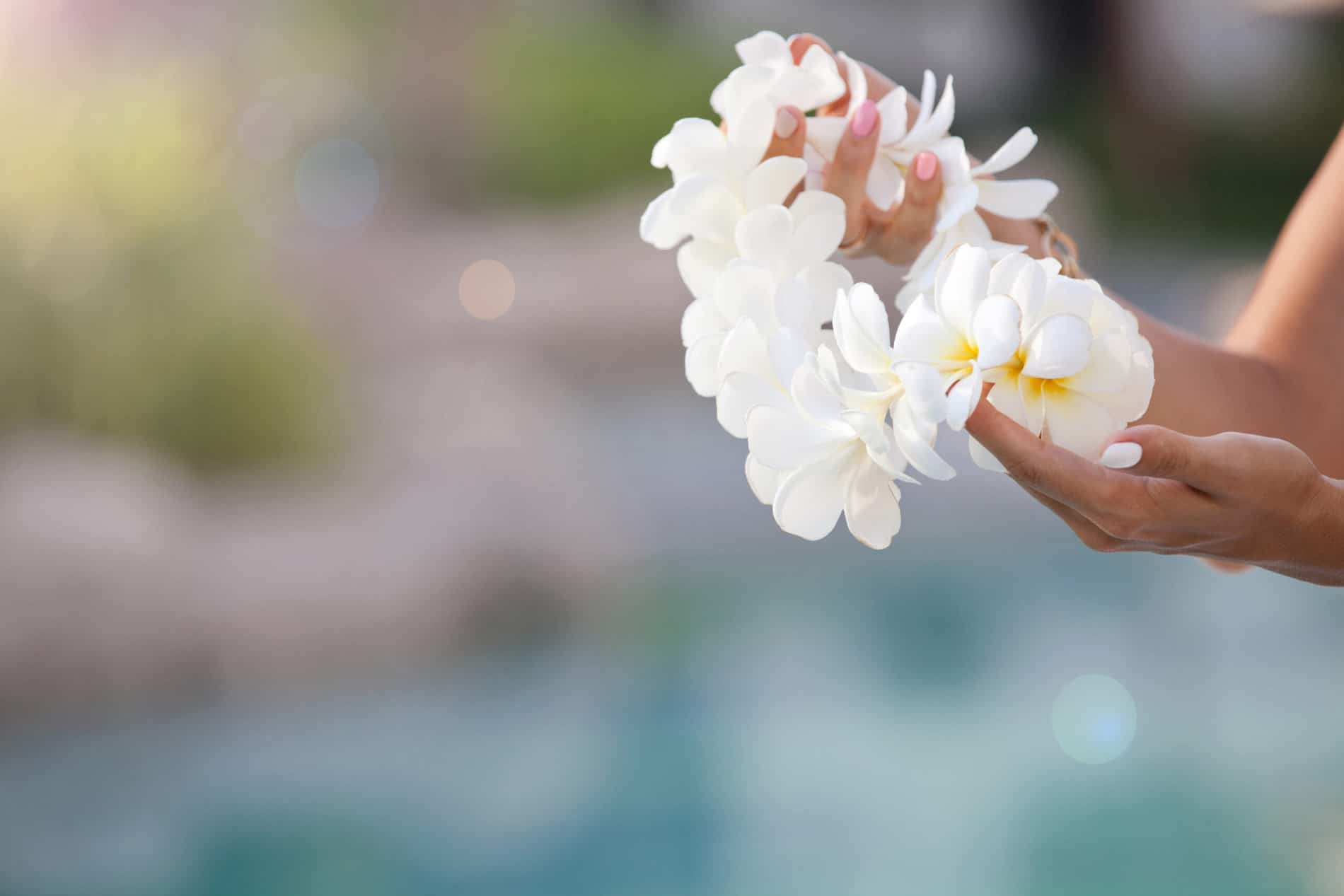 Upcoming Events on the Big Island of Hawaii