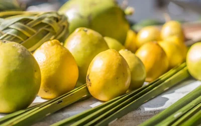 Savoring Sustainability: Farm to Table on The Big Island of Hawaii