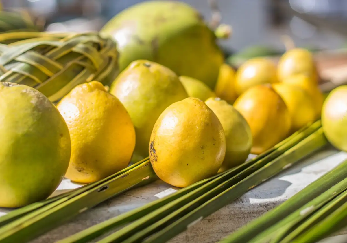 Savoring Sustainability - Farm to Table on The Big Island of Hawaii
