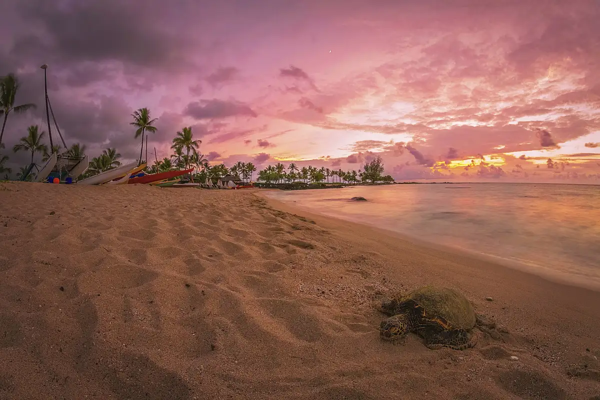 Big Island Beach Days: Best Beaches to Relax