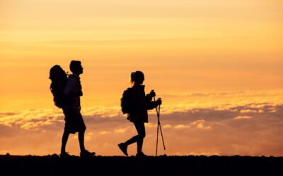 Hike, Bike, and More: Must-Try Land-Based Tours on Maui