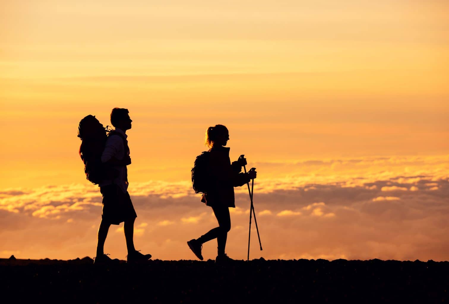 Hike, Bike, and More: Must-Try Land-Based Tours on Maui