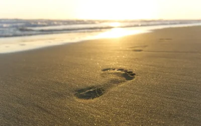 Eco-Friendly Maui Vacation: Explore Sustainably, Protect Paradise