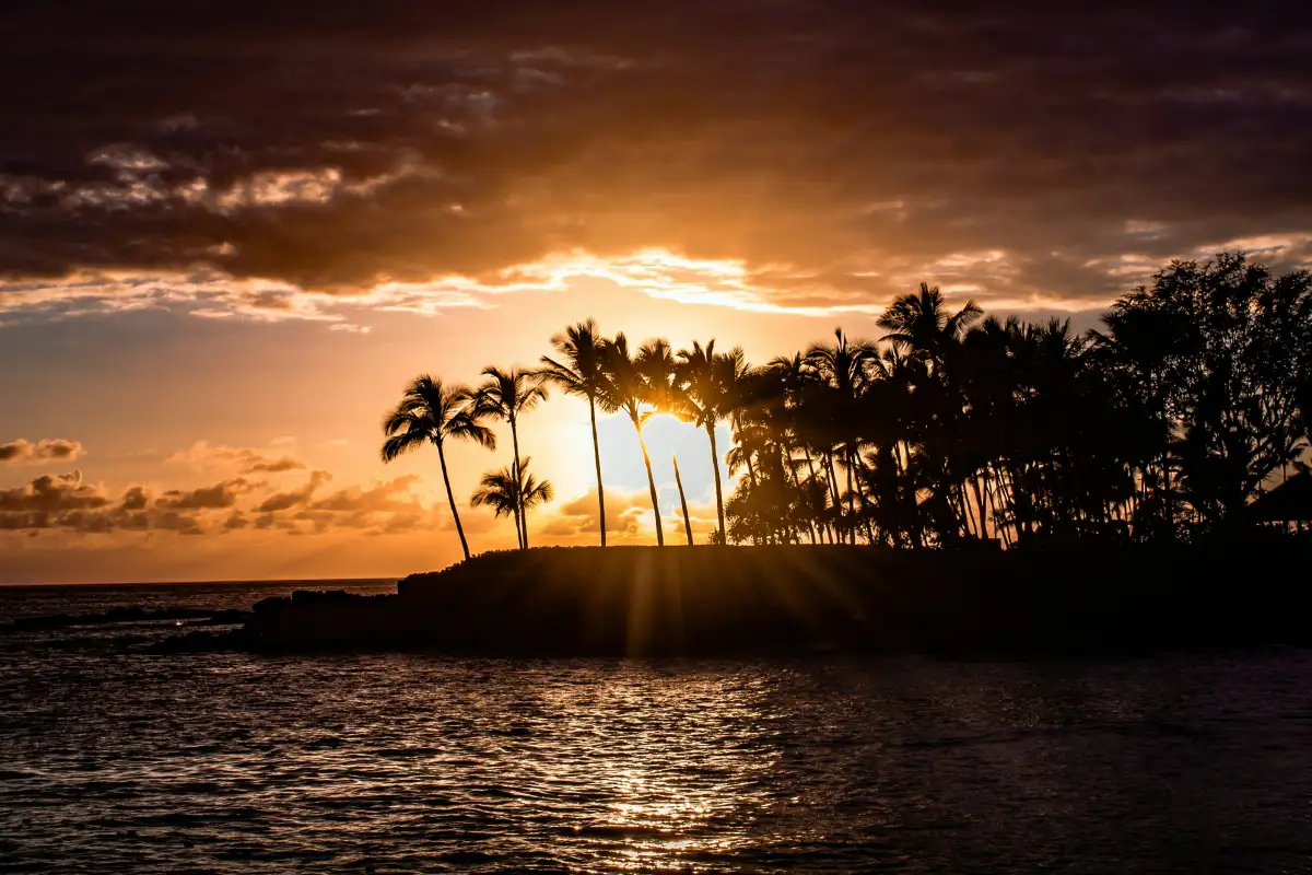 Stunning golden sunset with palm trees framing the beach, showcasing the natural beauty of the Big Island.