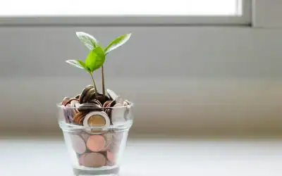 Save Money, Live Aloha: The Ultimate Big Island Budget Guide