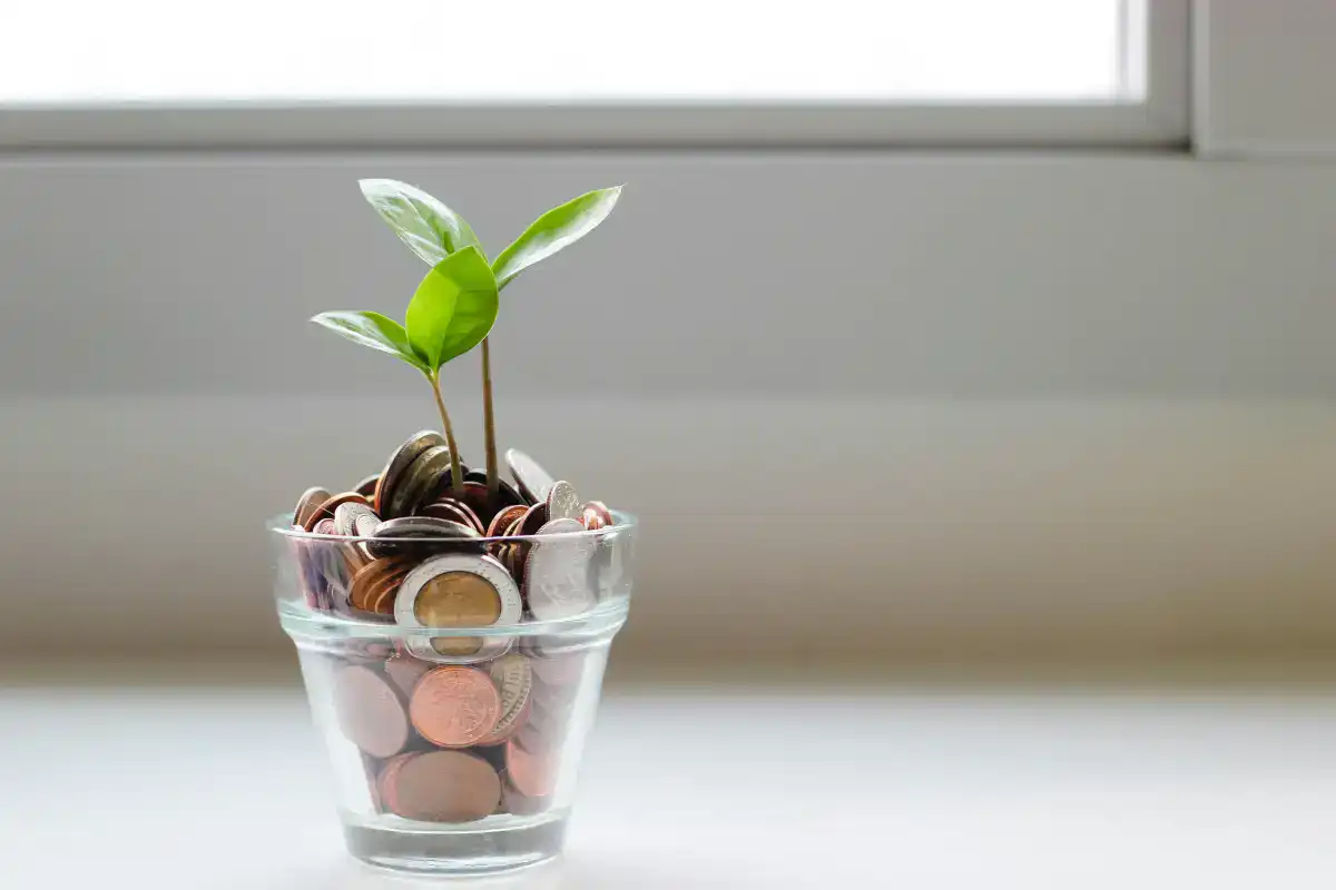 A clear pot full of coins with plants growing on it.