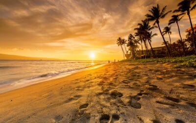 Find Your Perfect Maui Beach: A Guide for Every Kind of Traveler