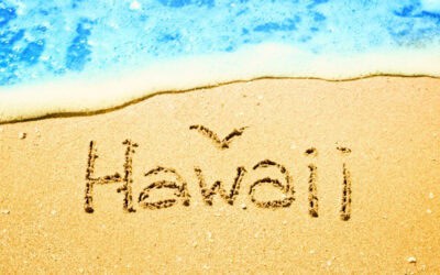 Go Green on the Go: Eco-Friendly Tips for a Sustainable Big Island Trip