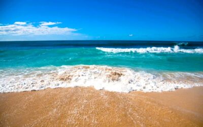 From Surf to Sand: Your Ultimate Guide to a Perfect Maui Beach Day