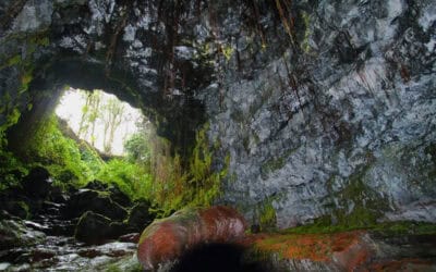 Adventure Awaits: Hiking, Ziplining, and Other Thrills on the Big Island