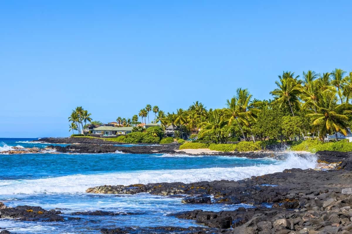 Tropical Big Island coastline with black lava rocks, palm trees, and blue ocean surf.